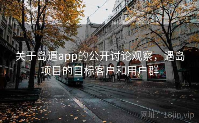 关于岛遇app的公开讨论观察，遇岛项目的目标客户和用户群