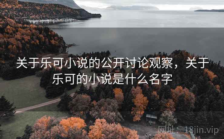 关于乐可小说的公开讨论观察，关于乐可的小说是什么名字