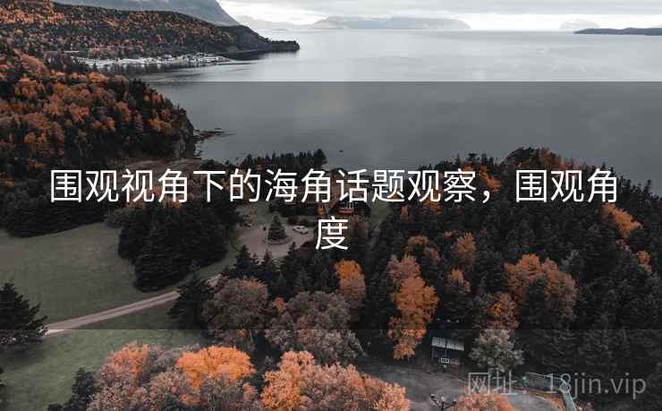 围观视角下的海角话题观察，围观角度