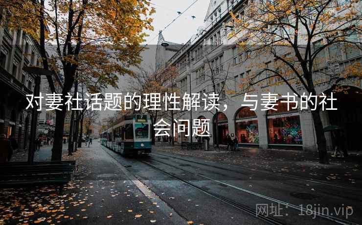 对妻社话题的理性解读，与妻书的社会问题
