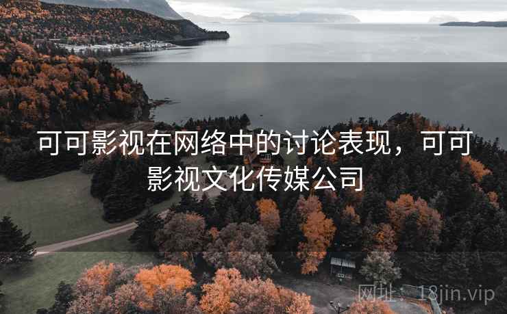 可可影视在网络中的讨论表现，可可影视文化传媒公司