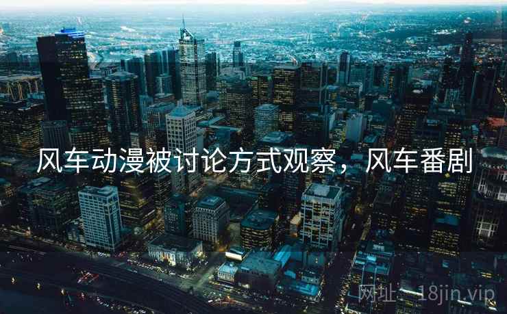 风车动漫被讨论方式观察，风车番剧