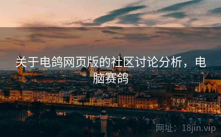 关于电鸽网页版的社区讨论分析，电脑赛鸽