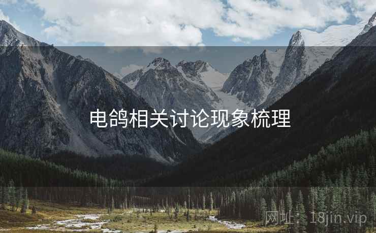 电鸽相关讨论现象梳理