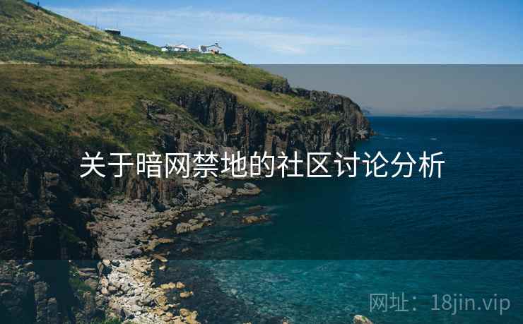 关于暗网禁地的社区讨论分析 关于暗网禁地的社区讨论分析