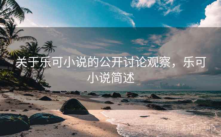 关于乐可小说的公开讨论观察，乐可小说简述
