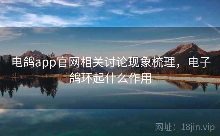 电鸽app官网相关讨论现象梳理，电子鸽环起什么作用