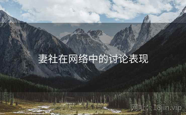 妻社在网络中的讨论表现