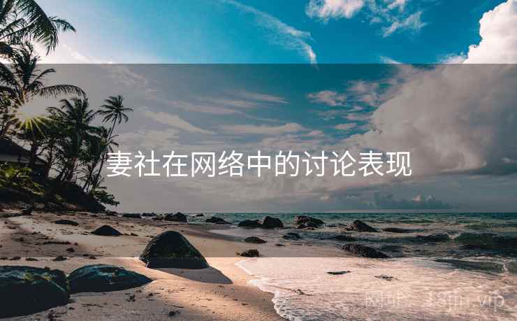 妻社在网络中的讨论表现